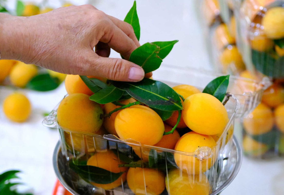 quả thanh trà bao nhiêu calo